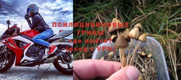 бутират Инсар