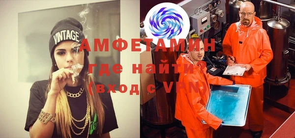 шишки Инта
