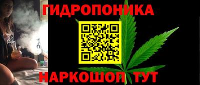шишки Кимры