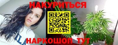 шишки Кимры