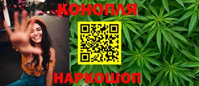 шишки Кимры