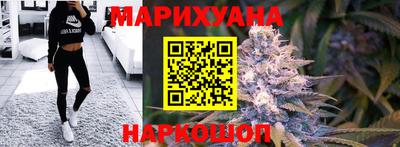 скорость Кингисепп