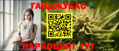 шишки Кимры