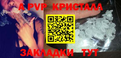 скорость Кингисепп