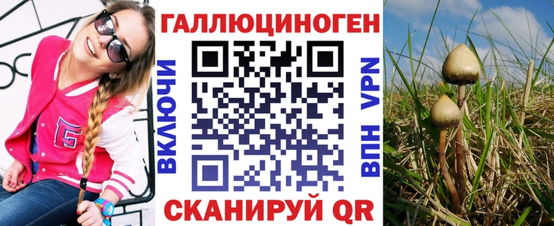 закладки  Лангепас  Галлюциногенные грибы мицелий 