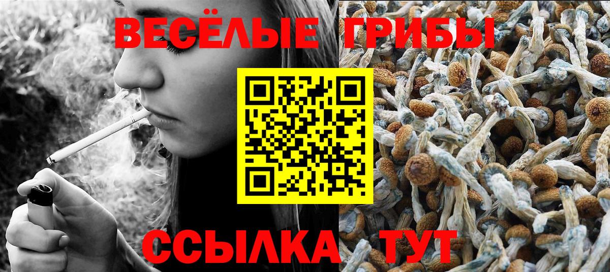Псилоцибиновые грибы ЛСД  Вход с VPN  Псилоцибиновые грибы Magic Shrooms  Лангепас 
