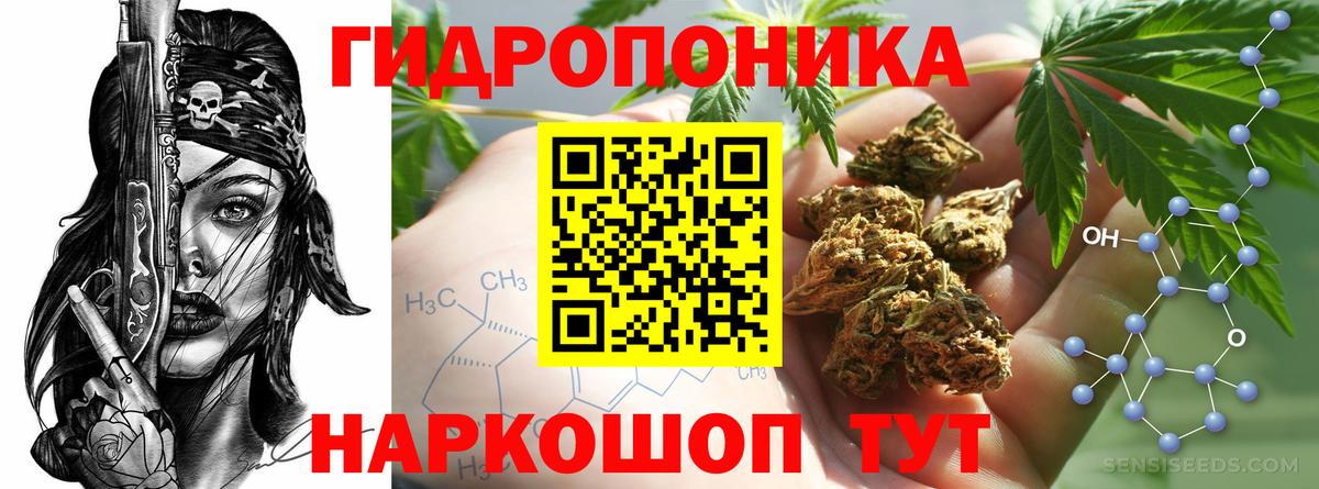 Канабис ГИДРОПОН  Каннабис OG Kush  Вход с VPN  Лангепас 